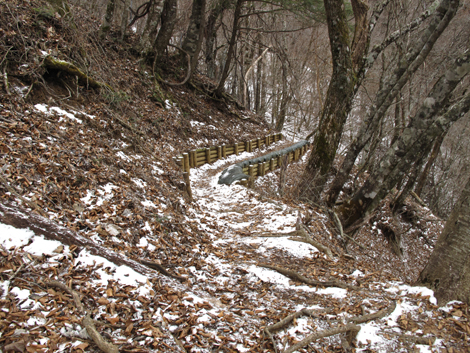 20181214hike (432)